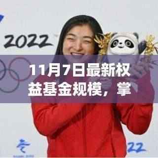 最新权益基金规模揭秘,掌握未来,开启自信与成就感的盛宴