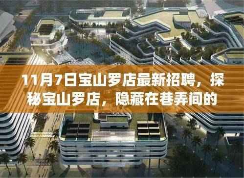揭秘宝山罗店职场宝藏,最新招聘火热进行中!
