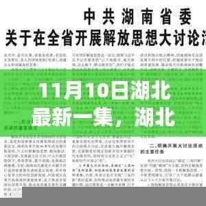 湖北最新剧集热议背后的深度解析,探讨某某观点