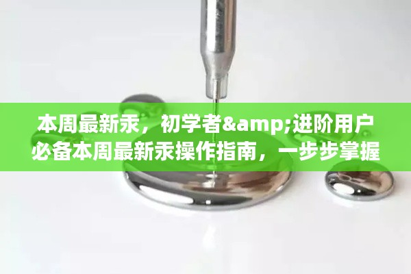 本周最新汞操作指南,初学者与进阶用户的必备教程