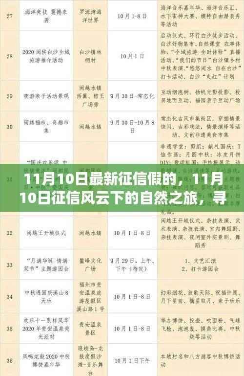 征信风云下的心灵之旅,探寻美景奇迹与内心宁静