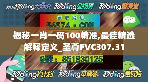揭秘一肖一码100精准,最佳精选解释定义_圣尊FVC307.31