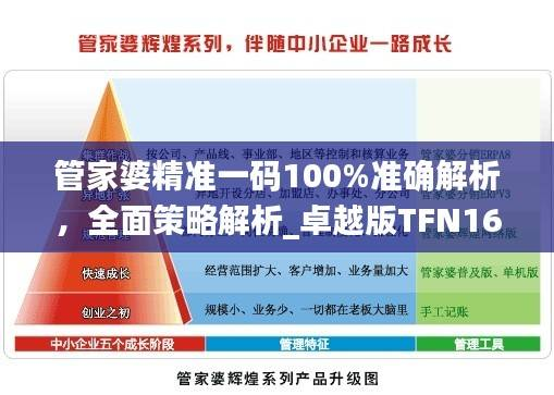 管家婆精准一码100%准确解析,全面策略解析_卓越版TFN164.33