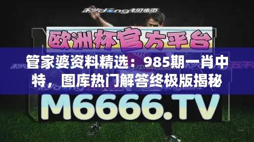 管家婆资料精选:985期一肖中特,图库热门解答终极版揭秘