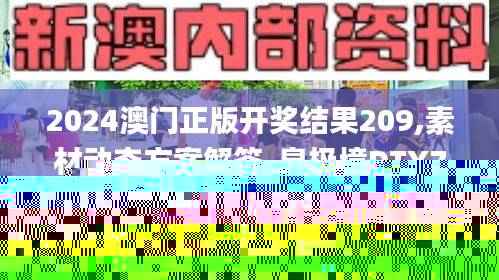 2024澳门正版开奖结果209,素材动态方案解答_皇极境DTY799.87