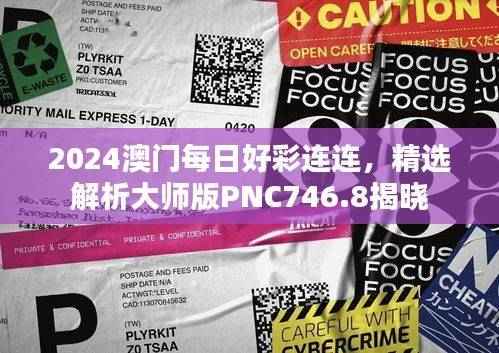 2024澳门每日好彩连连,精选解析大师版PNC746.8揭晓