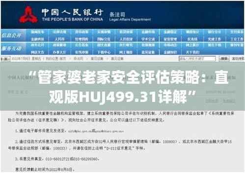 “管家婆老家安全评估策略:直观版HUJ499.31详解”
