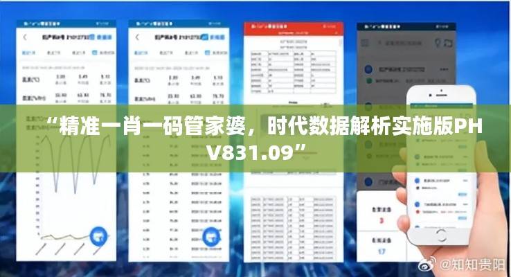 “精准一肖一码管家婆,时代数据解析实施版PHV831.09”