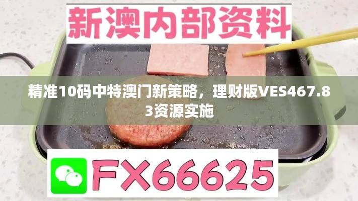 精准10码中特澳门新策略,理财版VES467.83资源实施