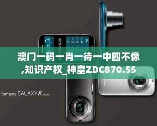 澳门一码一肖一待一中四不像,知识产权_神皇ZDC870.55