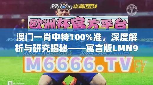 澳门一肖中特100%准,深度解析与研究揭秘——寓言版LMN954.44