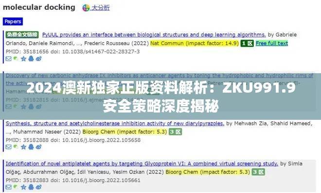 2024澳新独家正版资料解析:ZKU991.9安全策略深度揭秘