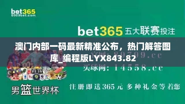 澳门内部一码最新精准公布,热门解答图库_编程版LYX843.82