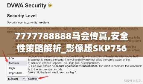 7777788888马会传真,安全性策略解析_影像版SKP756.1