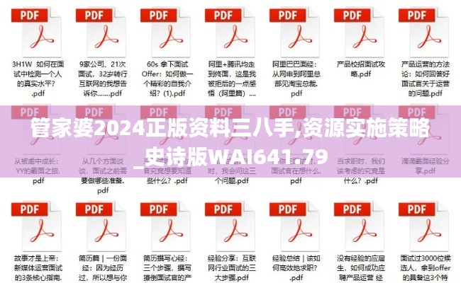 管家婆2024正版资料三八手,资源实施策略_史诗版WAI641.79