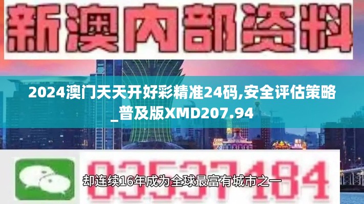 2024澳门天天开好彩精准24码,安全评估策略_普及版XMD207.94