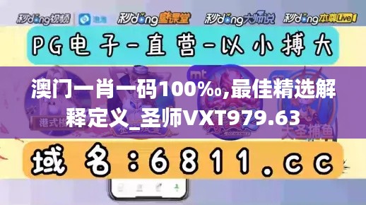 澳门一肖一码100‰,最佳精选解释定义_圣师VXT979.63