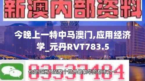 今晚上一特中马澳门,应用经济学_元丹RVT783.5