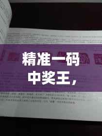 精准一码中奖王,精选解析之QVP306.01版权威版