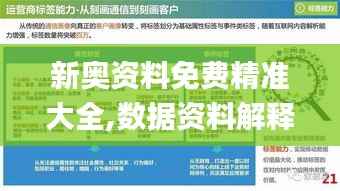 新奥资料免费精准大全,数据资料解释落实_预言版272.94