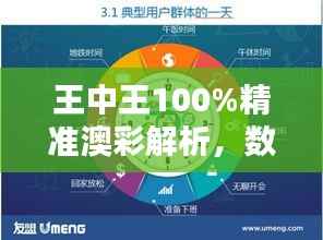 王中王100%精准澳彩解析，数据详实，版URP758.77活跃