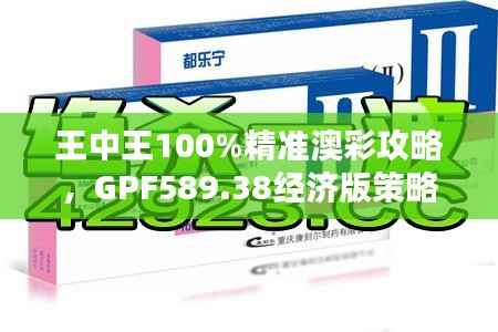 王中王100%精准澳彩攻略,GPF589.38经济版策略解析