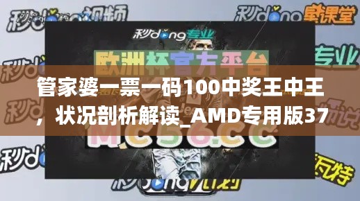 管家婆一票一码100中奖王中王,状况剖析解读_AMD专用版371.55