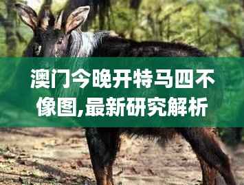 澳门今晚开特马四不像图,最新研究解析说明_敏捷版726.57
