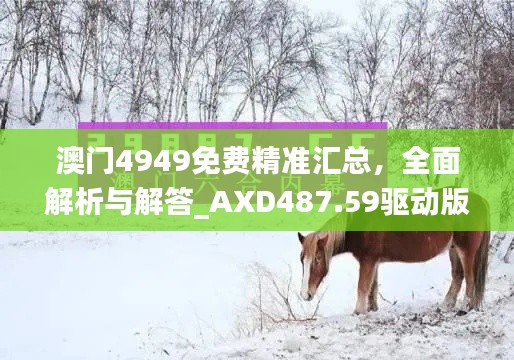 澳门4949免费精准汇总,全面解析与解答_AXD487.59驱动版
