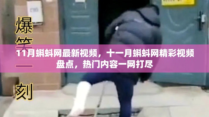 十一月蝌蚪网热门视频盘点,精彩内容一网打尽