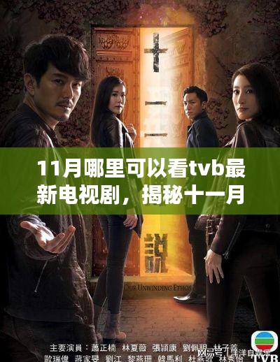揭秘十一月观看TVB最新电视剧的绝佳地点,小巷深处的观赏圣地