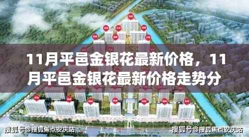 11月平邑金银花价格走势分析与多方观点交织的思考