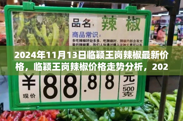 临颖王岗辣椒最新价格走势，2024年11月13日的观察与思考及市场分析