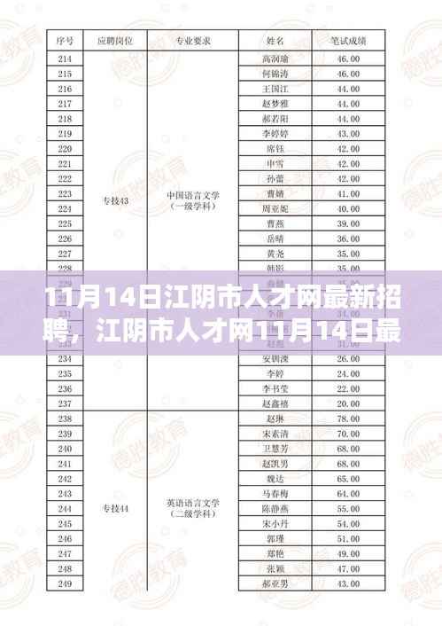 江阴市人才网11月14日招聘盛况揭秘，人才汇聚的力量与影响