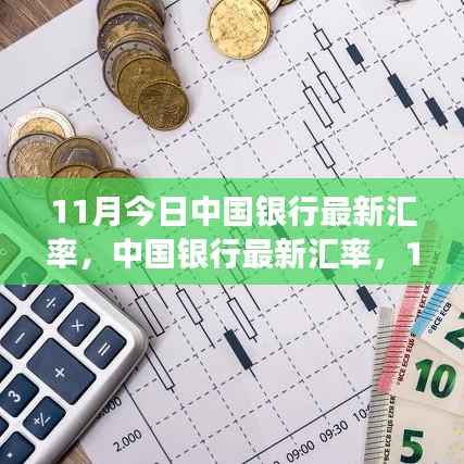中国银行最新汇率更新,市场观察与影响分析(11月版)