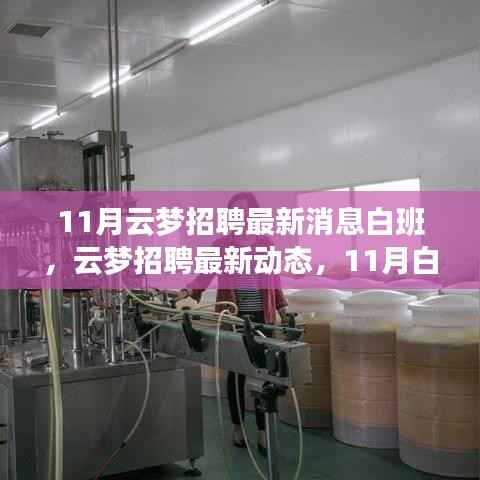 11月云梦招聘最新消息白班,人才市场的繁荣及其影响