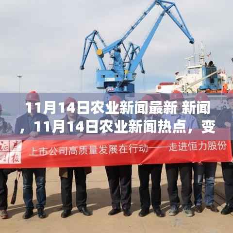 11月14日农业新闻热点,变革的田野上,学习带来的自信与成就感