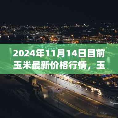 玉米行情背后的励志故事，自信闪耀的学习与成长之路