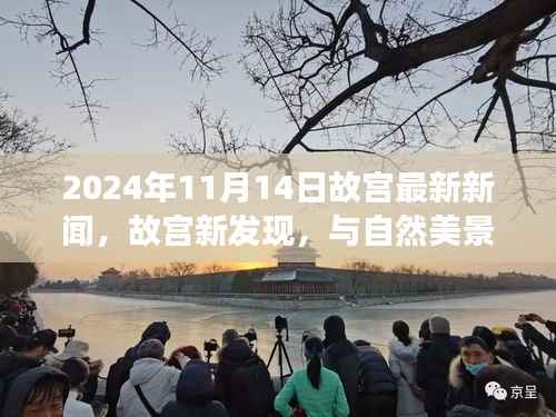 故宫新发现揭秘，与自然美景共舞的心灵之旅（2024年11月14日最新消息）