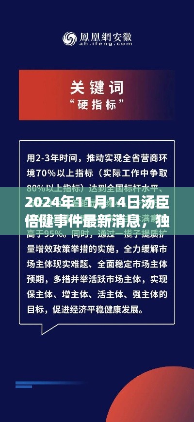 独家揭秘,汤臣倍健事件最新进展与深度解析(2024年11月14日最新消息)