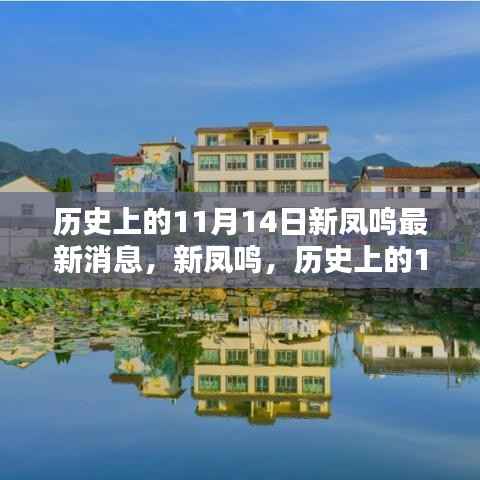 历史上的11月14日新凤鸣重要时刻回顾,最新消息一览