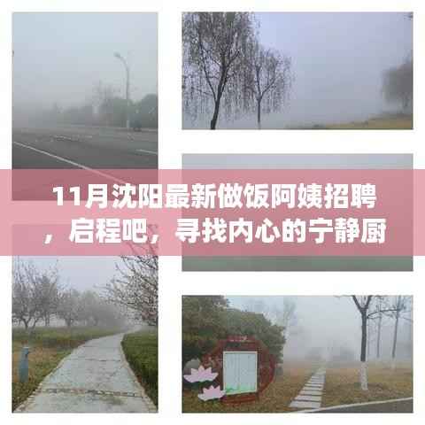 沈阳最新做饭阿姨招聘启事,寻找宁静厨房的心灵之旅