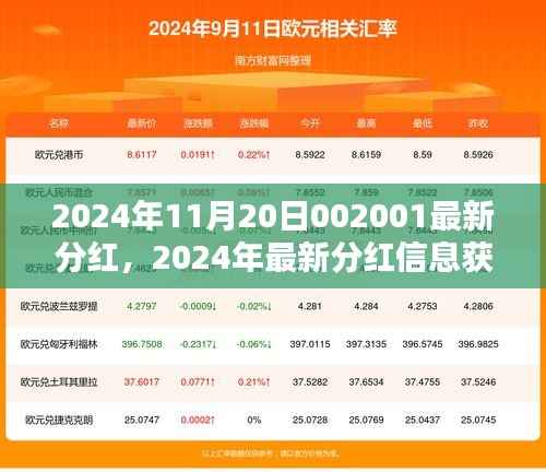 2024年最新分红信息获取与操作指南,以股票代码002001为例