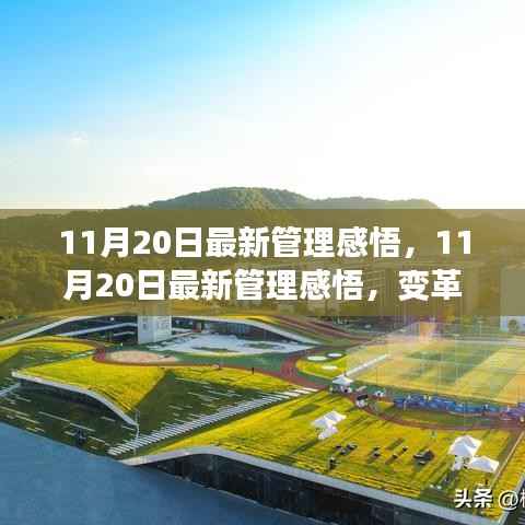 变革时代的管理感悟,领导策略与个人立场的重塑与启示