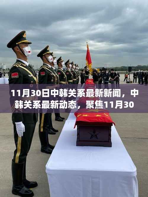 中韩关系最新动态解读,聚焦11月30日重要新闻涉政问题解析