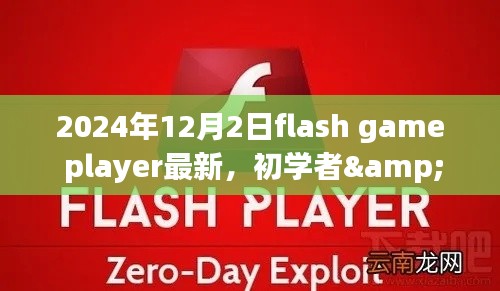 初学者与进阶用户必备,2024年Flash Game Player最新安装与使用详解指南