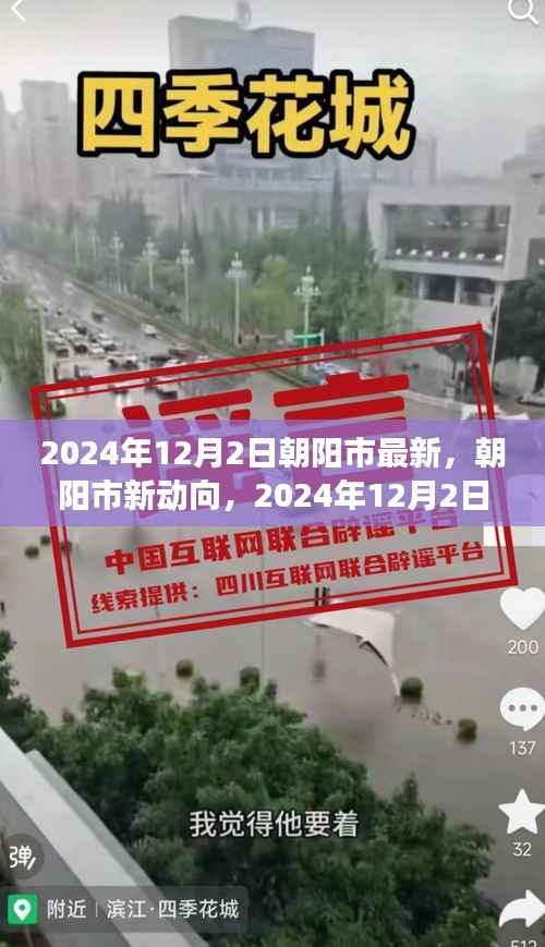朝阳市新动向深度解析，最新视角与观点阐述（2024年12月2日）