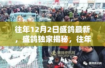往年12月2日盛况揭秘,盛鸽独家全景回顾
