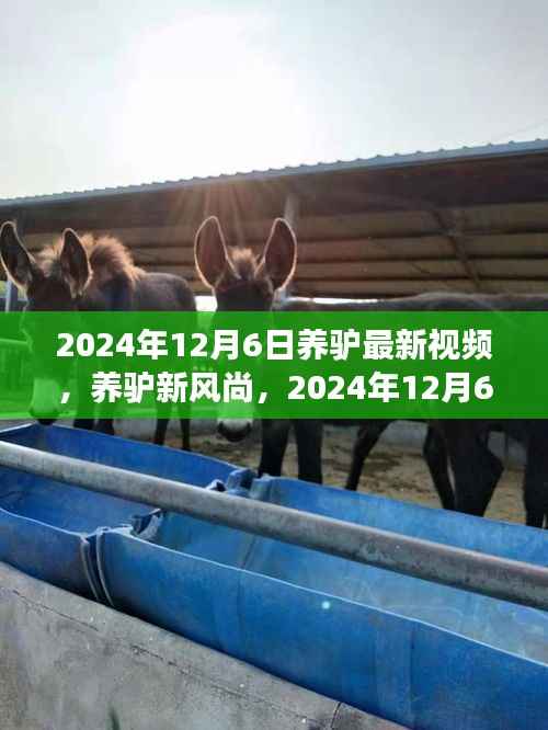 2024年养驴新风尚观察，最新视频揭示驴产业观点