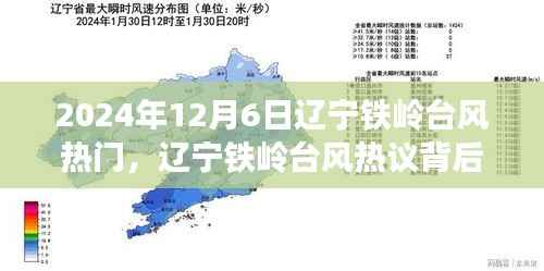 辽宁铁岭台风热议背后的深思,观点碰撞与反思 2024年12月6日铁岭台风事件探讨